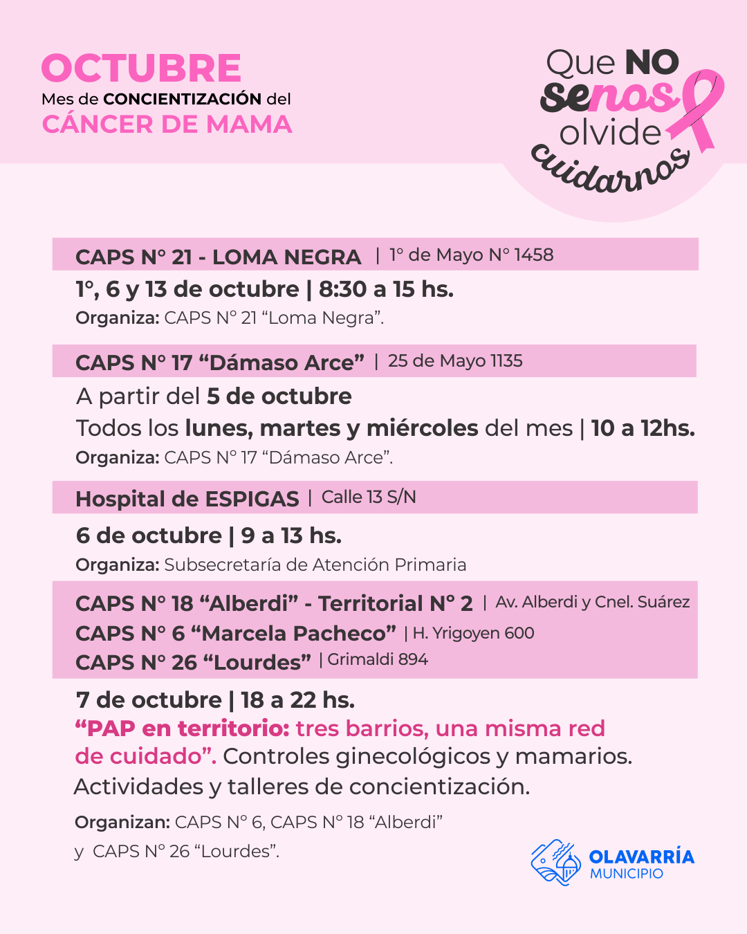 cronog placa 3