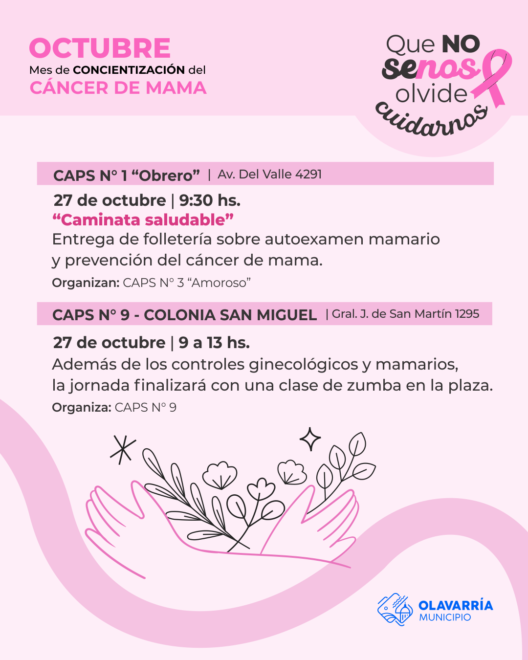cronog placa 7